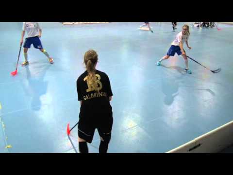 ATSM  Koovee, Kaukajärvi, Tampere,, 05.03.2016