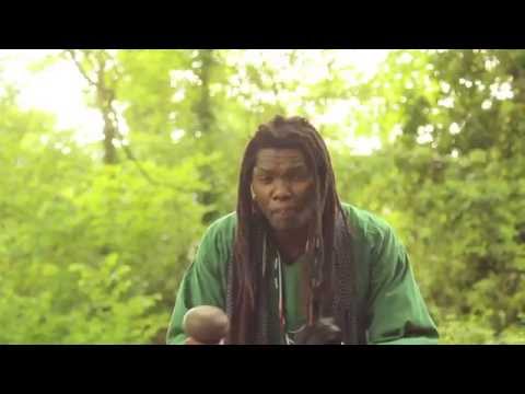 Linos Wengara Magaya - Chaminuka ndiMambo - Zimbaremabwe - Zimbabwean Mbira Music (2014)