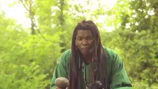Linos Wengara Magaya - Chaminuka ndiMambo - Zimbaremabwe - Zimbabwean Mbira Music (2014)
