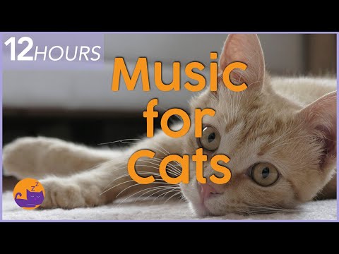 EXTRA LONG Relaxing Music for Cats - 12 Hour Lullaby for Anxious Cats 🎶