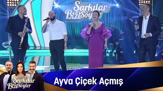 Sibel Can & Hakan Altun & Hüsnü Şenlendirici & Berkay - Ayva Çiçek Açm