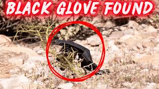 🔴 BREAKING: Black Glove Recovered Near Nancy Guthrie’s Home