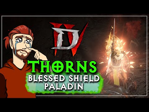 Thorns Paladin is INSANE In Season 11 | New Bugs and Optimizations Found