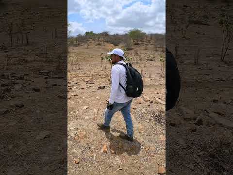 eu estou na antiga vila de couro Dantas na zona rural de riacho das almas Pernambuco