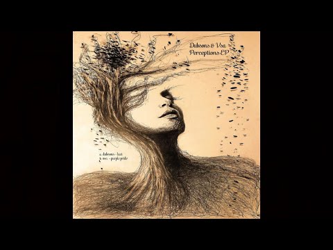 Dubsons - Luci [VSA002]