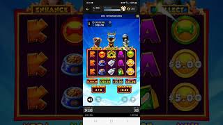 Doggone it! 3 Top Dogs * 1.00 bet bonus * Betty Casino How'd it go? #onlinecasino