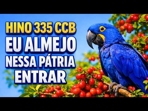 HINO 335 CCB - Eu Almejo Nessa Pátria Entrar - HINÁRIO 5 - Hino Cantado COM LETRA