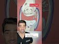 Fluid in the Knee