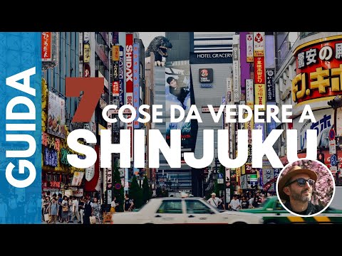 SHINJUKU: 7 THINGS TO SEE - A GUIDE to TOKYO