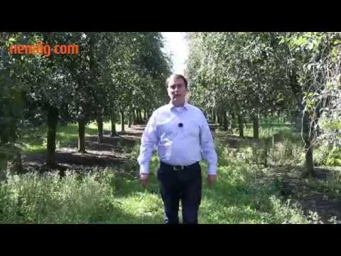 Månedens vinhus hos nemlig.com: Frederiksdal - Plantage