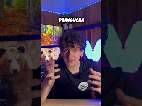 5 ANIMALI CHE NON SAPEVI ANDASSERO IN LETARGO