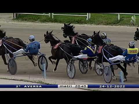 Aversa trotto 24 Dicembre 2022 - 2° Corsa