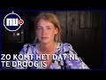 Genoeg regen, maar toch last van droogte: hoe zit dat?
