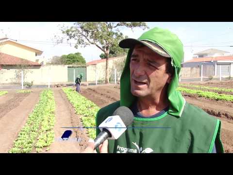Projeto Nova Vida emprega 250 ex-moradores de rua em Rio Claro