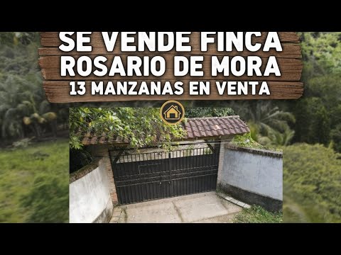Se vende bonita finca con casa em canton el carrisal  calle al cusuco   Rosario de mora 