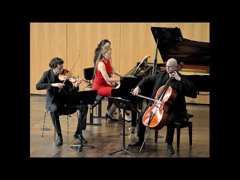 Johannes Brahms - Piano Trio Nr. 3 c minor op. 101 - 2nd mov. Presto con assai