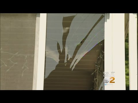 Police: 19-Year-Old On Bad LSD Trip Tased 3 Times After Punching Windows, Cop