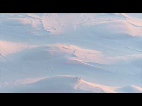 Untell - 초대발지 않은 손님 (Uninvited Guest) w/ 한오월