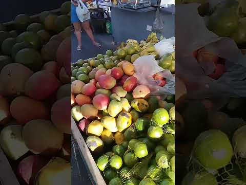 muita fartura na feira de Jurema Pernambuco #viraliza