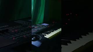 Download lagu Nyidam Sari | Tes Korg Micro Arranger #shorts #nyidamsari #korgmicroarranger #korg #flute mp3