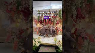 Download lagu KURSI PENGANTIN AMBRUK TIDAK KUAT MENAHAN BEBAN BRIDESMAID🤭🤭🤭#shorts #makeup #riaspengantin mp3