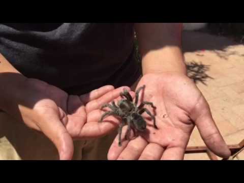 Visita el Serpentario La Paz