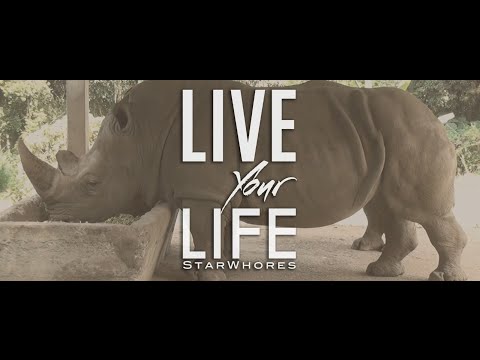 StarWhores - Live Your Life  ( Official Music Video )