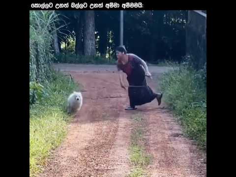 hu hu vadaunada😊 #song #trending #love #shorts #srilanka