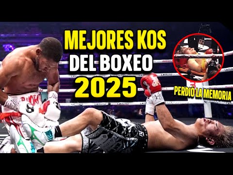 BEST BOXING KNOCKOUTS OF 2025!....THE 10 MOST TERRIFYING