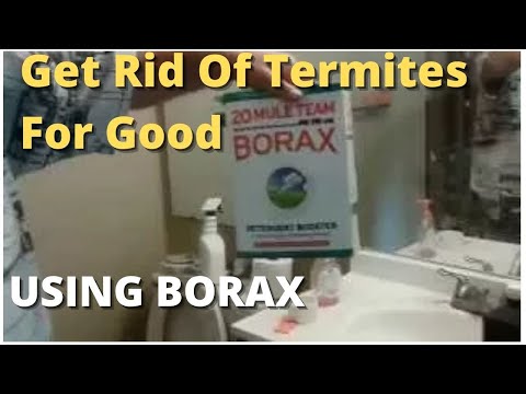 image-Will boric acid keep rats away?