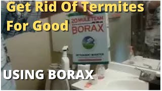 How To Get Rid Of Termites For Good  Using  Borax -- Best Solution Do It Yourself