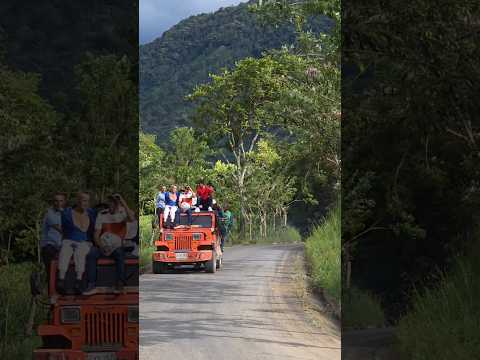 El jeep wilco, creación colombiana , este trabaja en la virginia Risaralda hacia pueblo vano #jeep