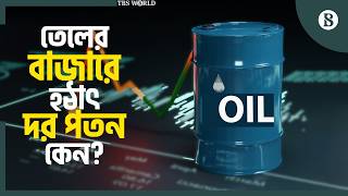 জ্বালানি তেলের দামে হঠাৎ নাটকীয় দর পতন | Oil Price Drop | The Business Standard