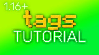 Minecraft TAG Command Tutorial [Working 1.19]