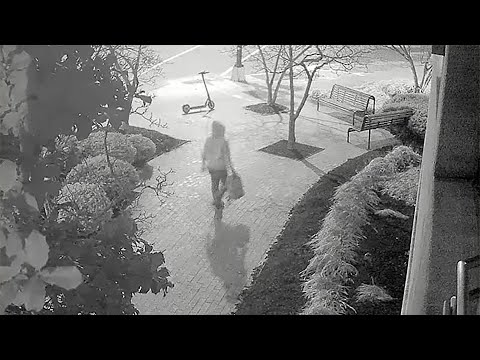 LIVE: Officials hold press conference on arrest of D.C. pipe bomb suspect | NBC News