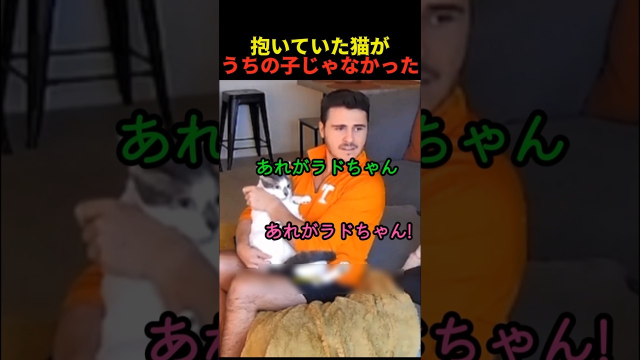 抱いていた猫がうちの子じゃなかった