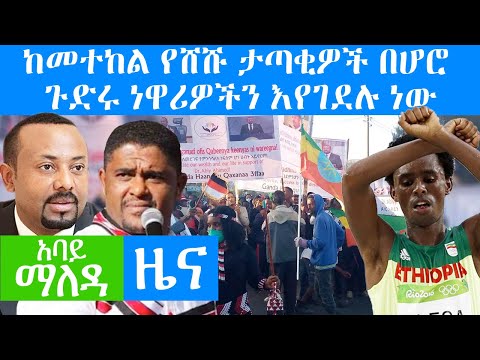 Abbay Maleda News - February 2,2021 | አባይ ማለዳ ዜና | Ethiopia News Today | Abbay Media News