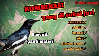 Download lagu MASTERAN Kacer isian terbaik saat mabung terapi Kacer malam hari mp3