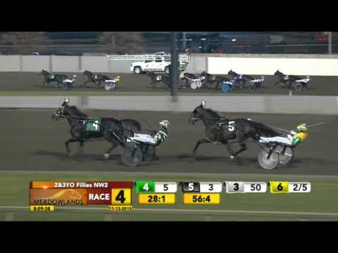 Meadowlands November 13, 2015 - Race 4 - Penpal