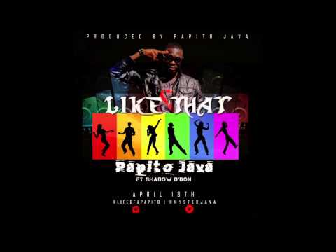 Like That (Audio) PapitoJava ft Shadow d'don