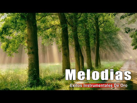 Las 100 Melodias Orquestadas Mas Bellas de Todos Los Tiempos - Exitos Instrumentales De Oro