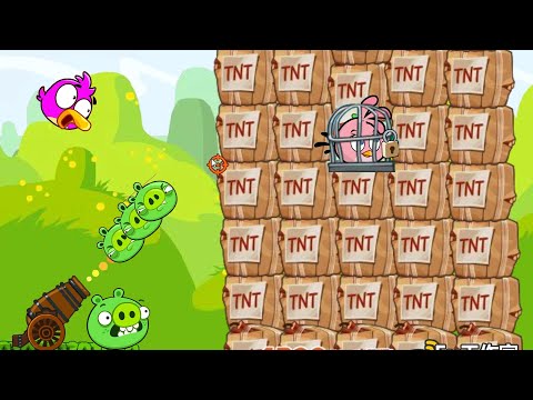 Angry Birds Collection Hacked 2 - SAVE THE TEAM BIRD BY SHOOTING 1000 TNT TO BLAST GIANT BOSSES PIG!