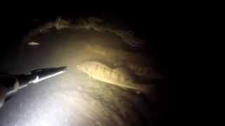 preview picture of video 'Ночная подводная охота. Днепр, Канев, ноябрь 2013'