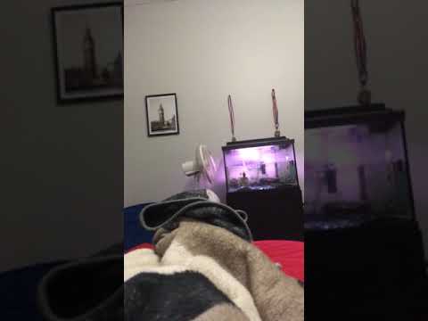 tweakin off the 2cb??