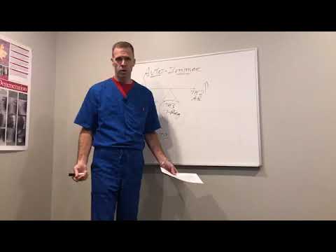 Cold and Flu season- should you take Echinacea?