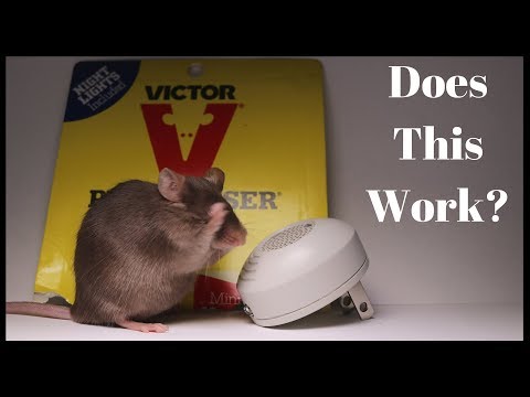 Testing Out the Victor PESTCHASER Ultrasonic Rodent Repeller. Does It Work?