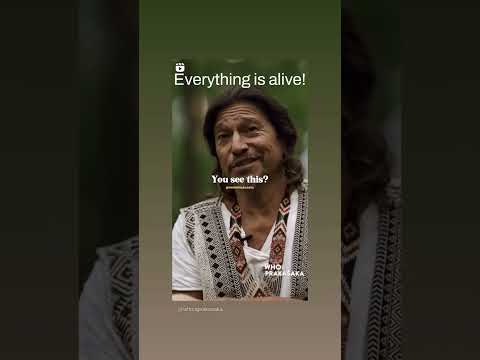 Everything in existence vibrates at different frequencies. This means A ROCK 🪨 IS ALIVE.