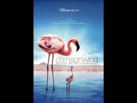 The Cinematic Orchestra Crimson skies (feat. Lou Rhodes)
