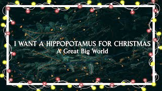 I Want a Hippopotamus for Christmas – A Great Big World（Official Lyric Video）
