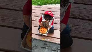 Miniature vidéo